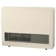 direct vent heaters